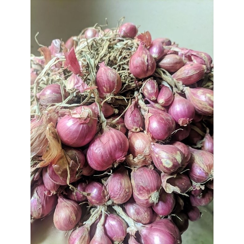 

Bawang Merah Lokal 1Kg Kering Tahan Lama