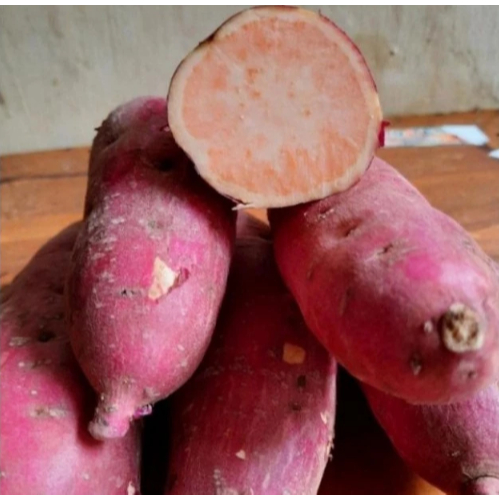 

1 Kg Ubi Orange Mentah/ Ubi Jalar Varian Orange/ Boled Warna Orange