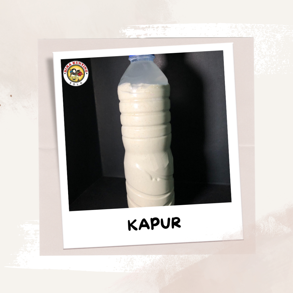 Kapur Botol untuk fiksasi dalam pcs