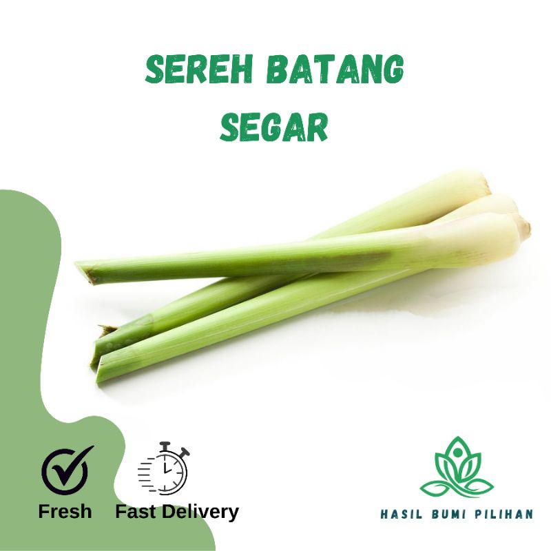 

Sereh segar langsung dari kebun | serai batang lemongrass jumbo