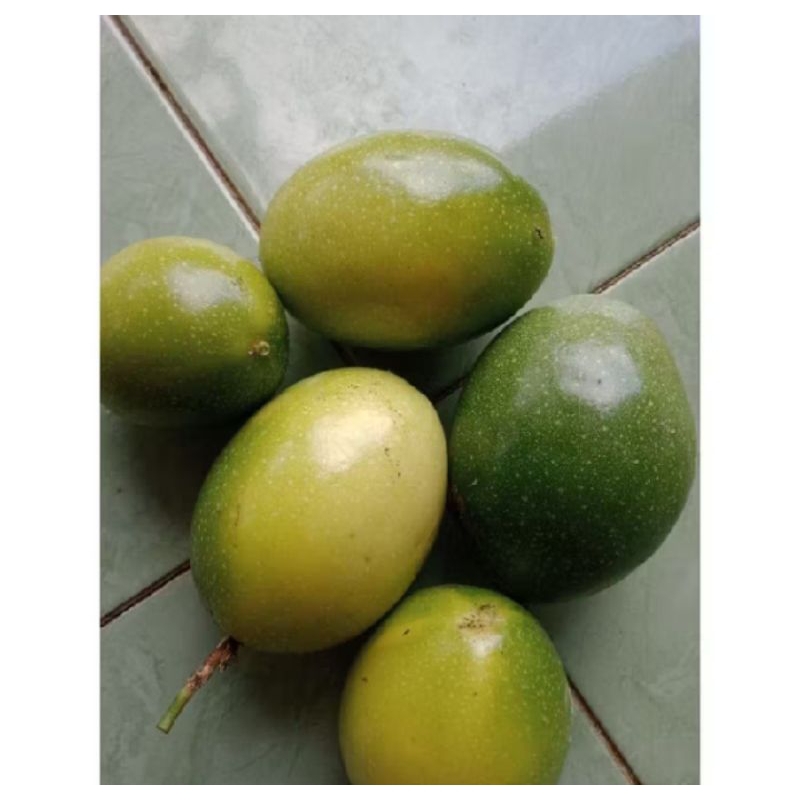 

Buah Markisa Segar 1 Kg Aroma Wangi Manis