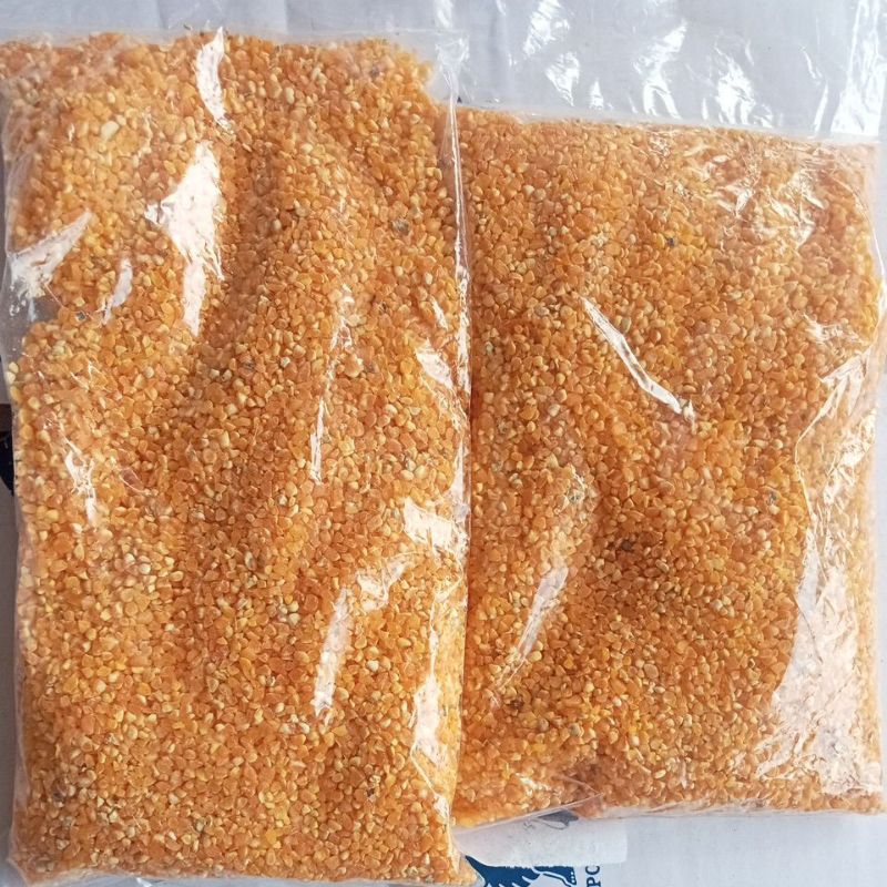 jagung menir