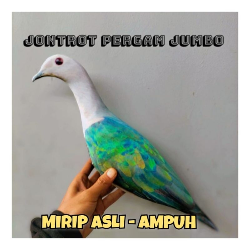 PATUNG JONTROT BURUNG PERGAM JUMBO - JONTROT BURUNG PERGAM