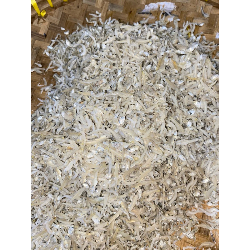 

Teri Nasi B kering 1000 gr/ 1 Kg Fresh
