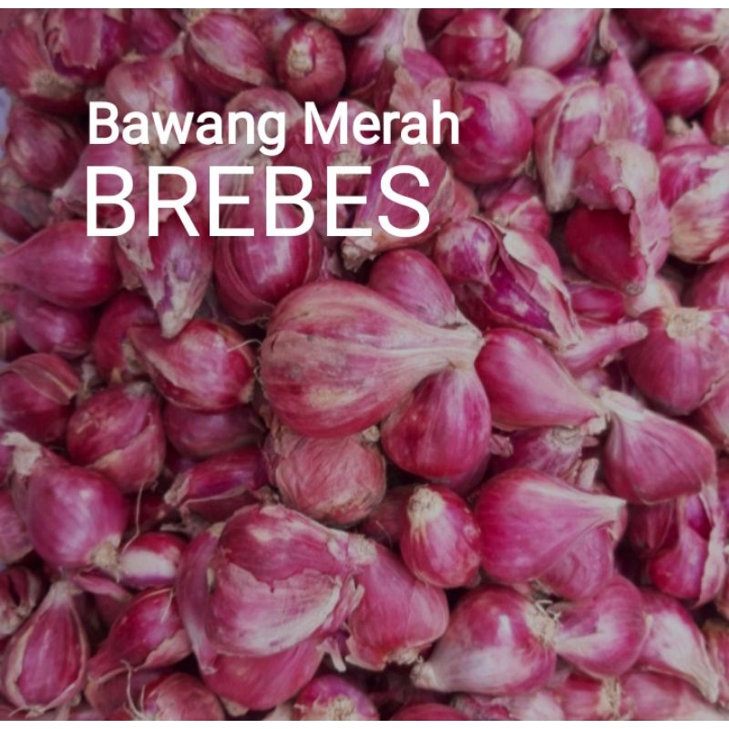 

BAWANG MERAH BREBES ASLI/sedang /½kg/1kg