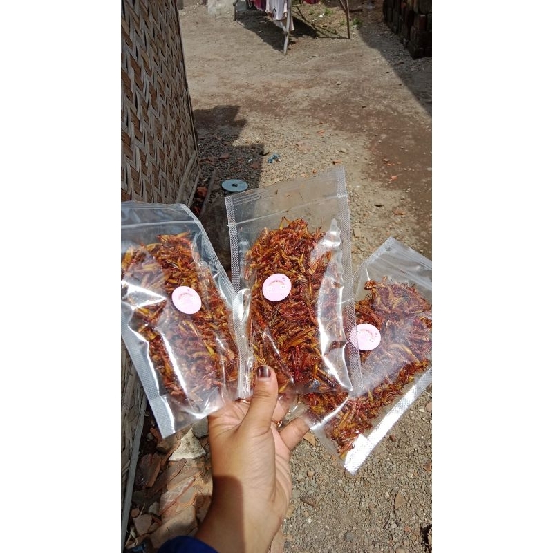 

BELALANG GORENG VIRAL netto 50 grm murah