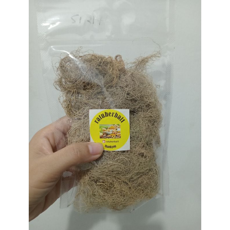

READY LANGSUNG KIRIM KAYU ANGIN KERING ORGANIK ASLI HUTAN AKAR ANGIN