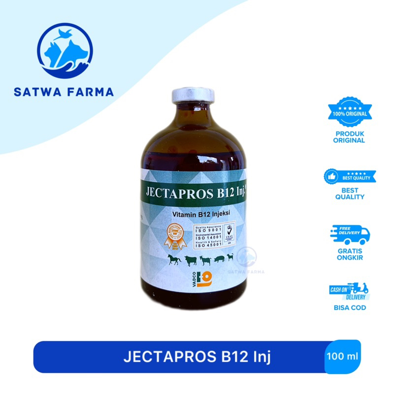 JECTAPROS B12 Inj 100 ml Vitamin B12 / JECTAVIT B12 INJ