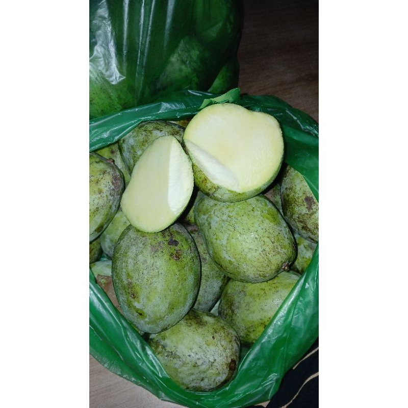 

Mangga Mengkal Garing Buat Rujakan 1kg