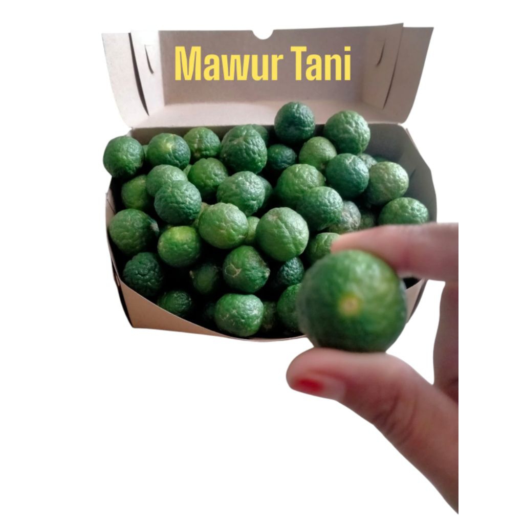 

Jeruk Limau jeruk sambal 1kg fresh