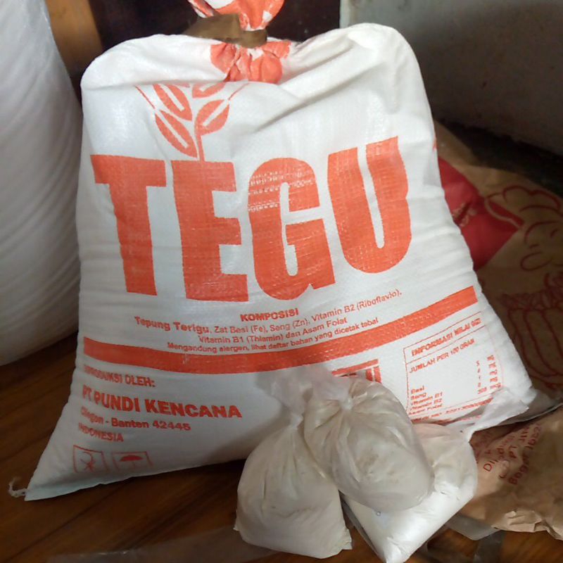 

tegu terigu kemasan repack 250gram