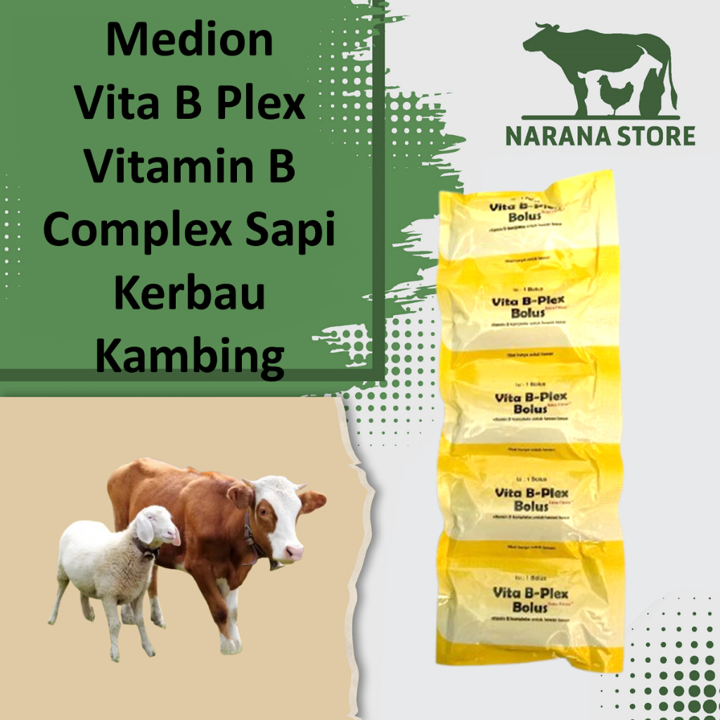 Medion Vita B Plex Vitamin B Complex Sapi Kerbau Kambing