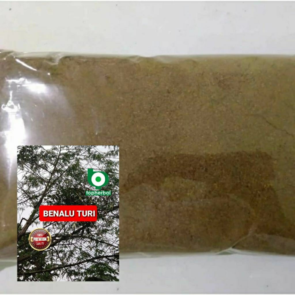 

Bubuk Benalu Turi 1 Kg/1000 Gram Kering Hijau Organik Super Premium