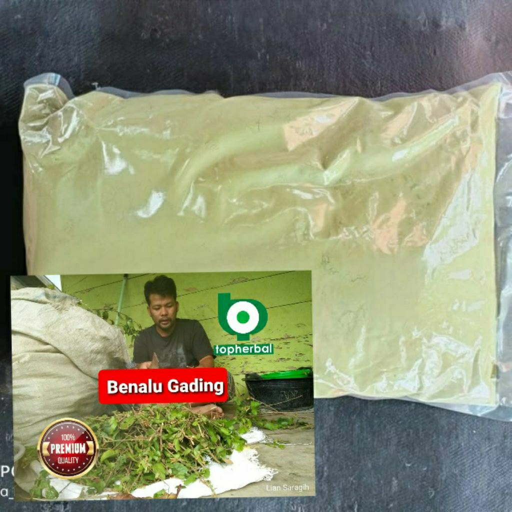 

Bubuk Benalu Gading 1 Kg/1000 Gram Kering Hijau Organik Super Premium