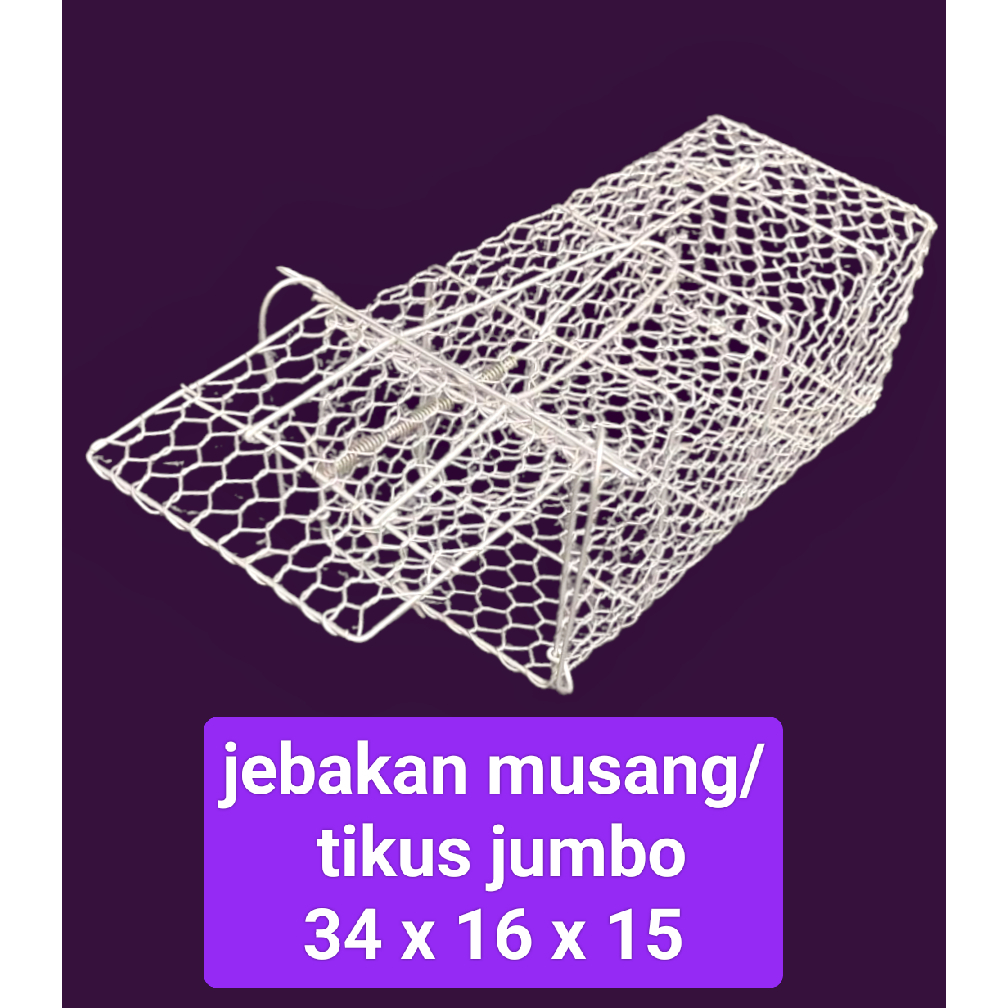 Jebakan Musang / Tikus Besar