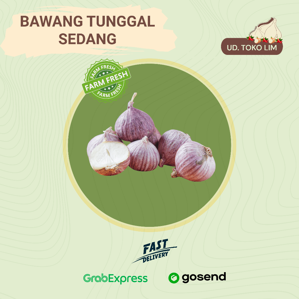 

Bawang Putih Tunggal/Bawang Lanang Sedang - Fresh & Berkualitas