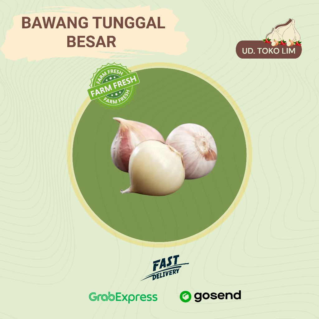 

Bawang Putih Tunggal/Bawang Lanang Besar - Fresh & Berkualitas