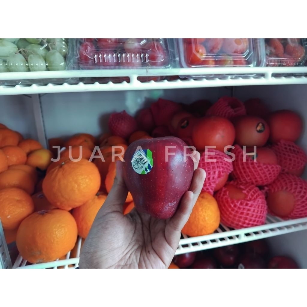 

Apel Merah 500gr