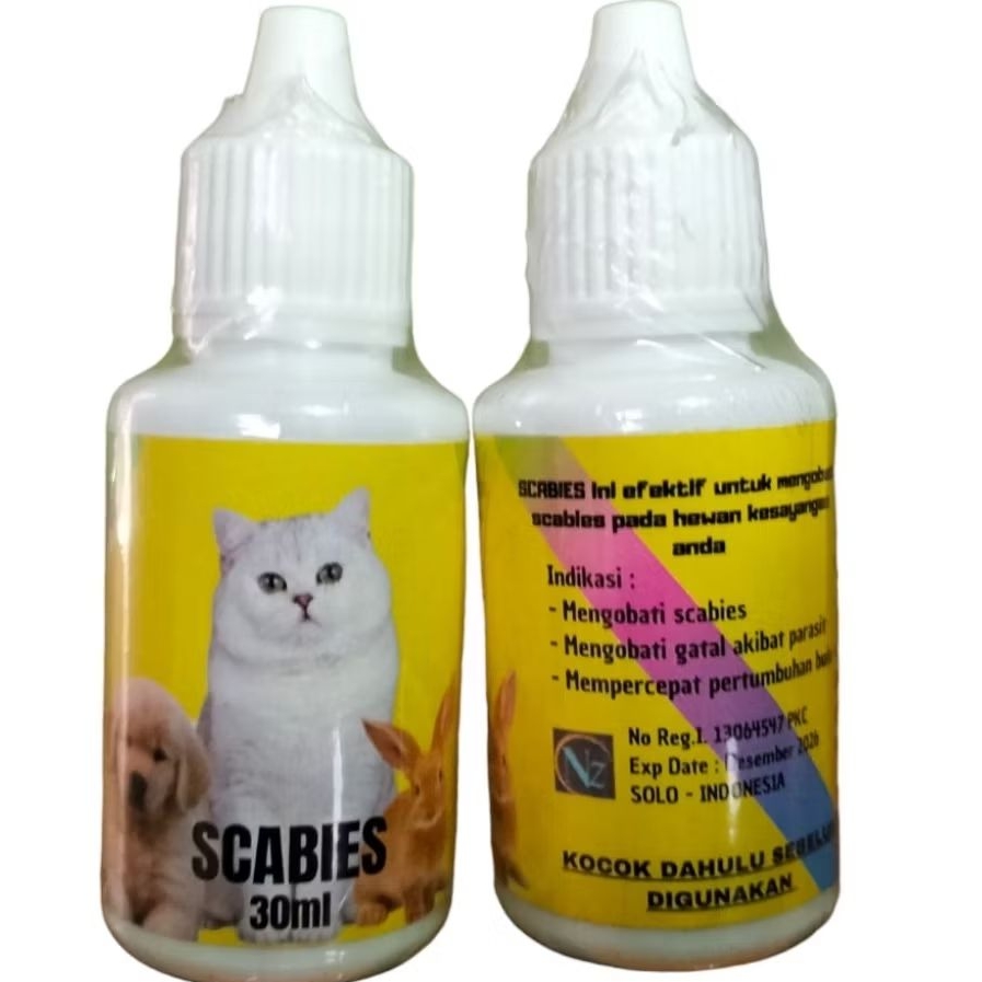 Obat scabies kucing anjing