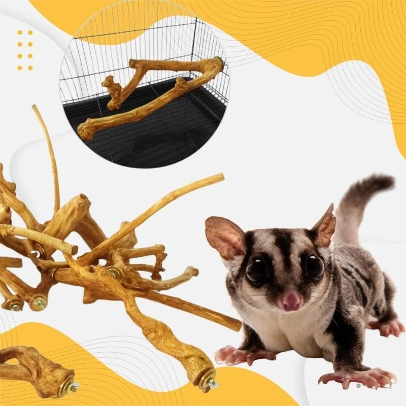 Tangkringan Kayu Kopi Premium Besar Panjang Sugar Glider Burung Tupai Aksesoris Kandang
