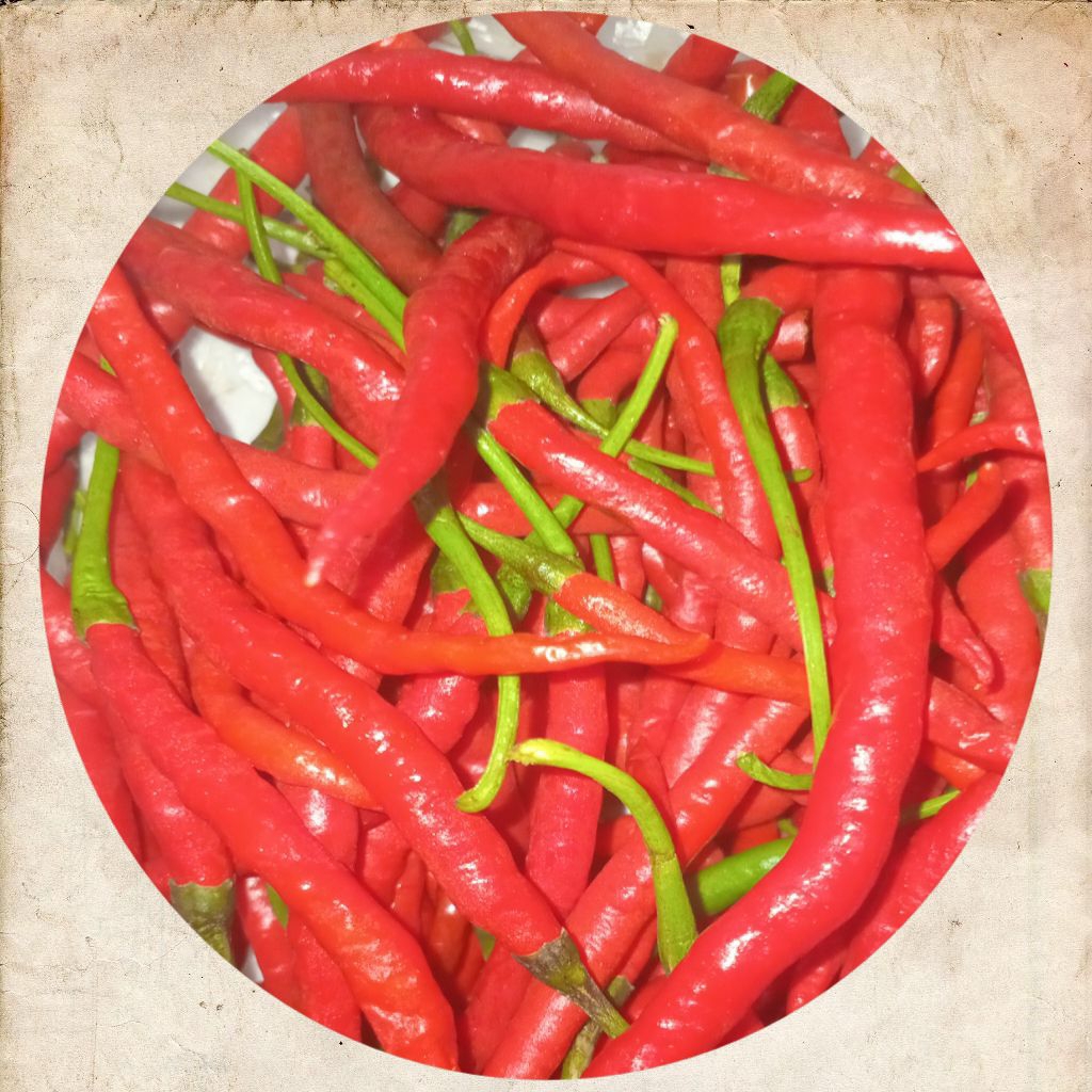 

Cabai/Cabe Keriting Merah 100 gram