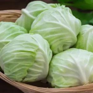 

KUBIS /KOL ( 1/2 potong ) 500 -600 gram