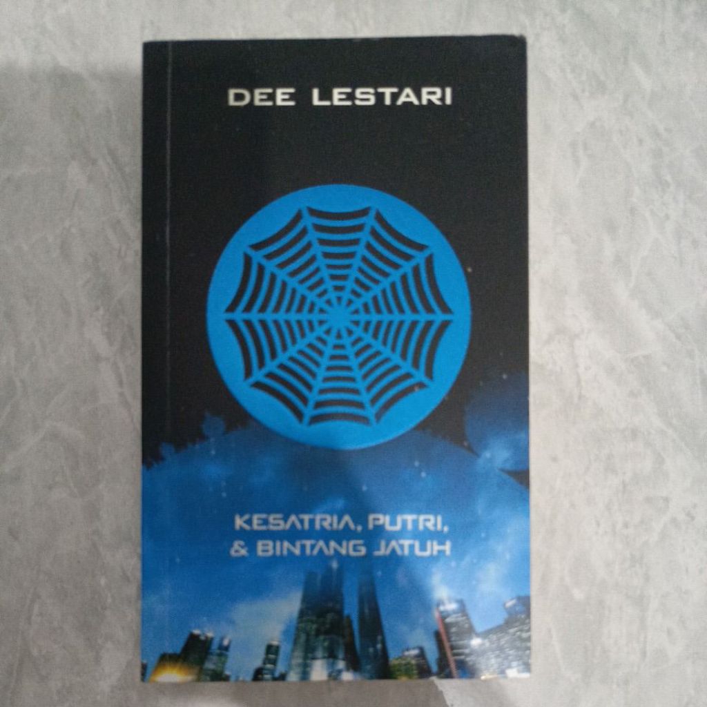 Buku Kesatria, Putri dan Bintang Jatuh