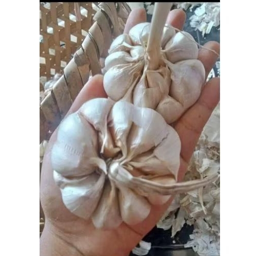 

BAWANG PUTIH SINCO/ biasa 500g