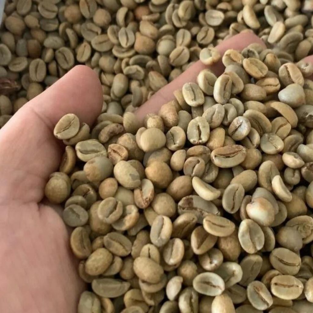 

biji kopi mentah robusta 500gr