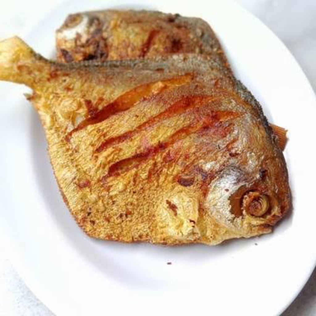 

Ikan BAWAL LAUT Super 2 Ekor MARINASI Bumbu Kuning Praktis Tinggal Goreng Bakar Pepes Gulai Sambal Matah Mentah dll