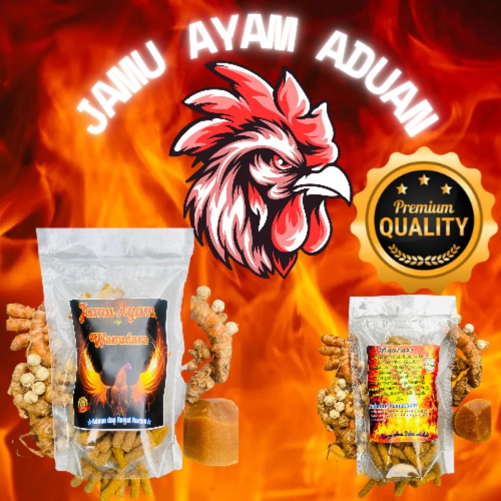 Jamu ayam bangkok wanudara isi 100 butir herbal