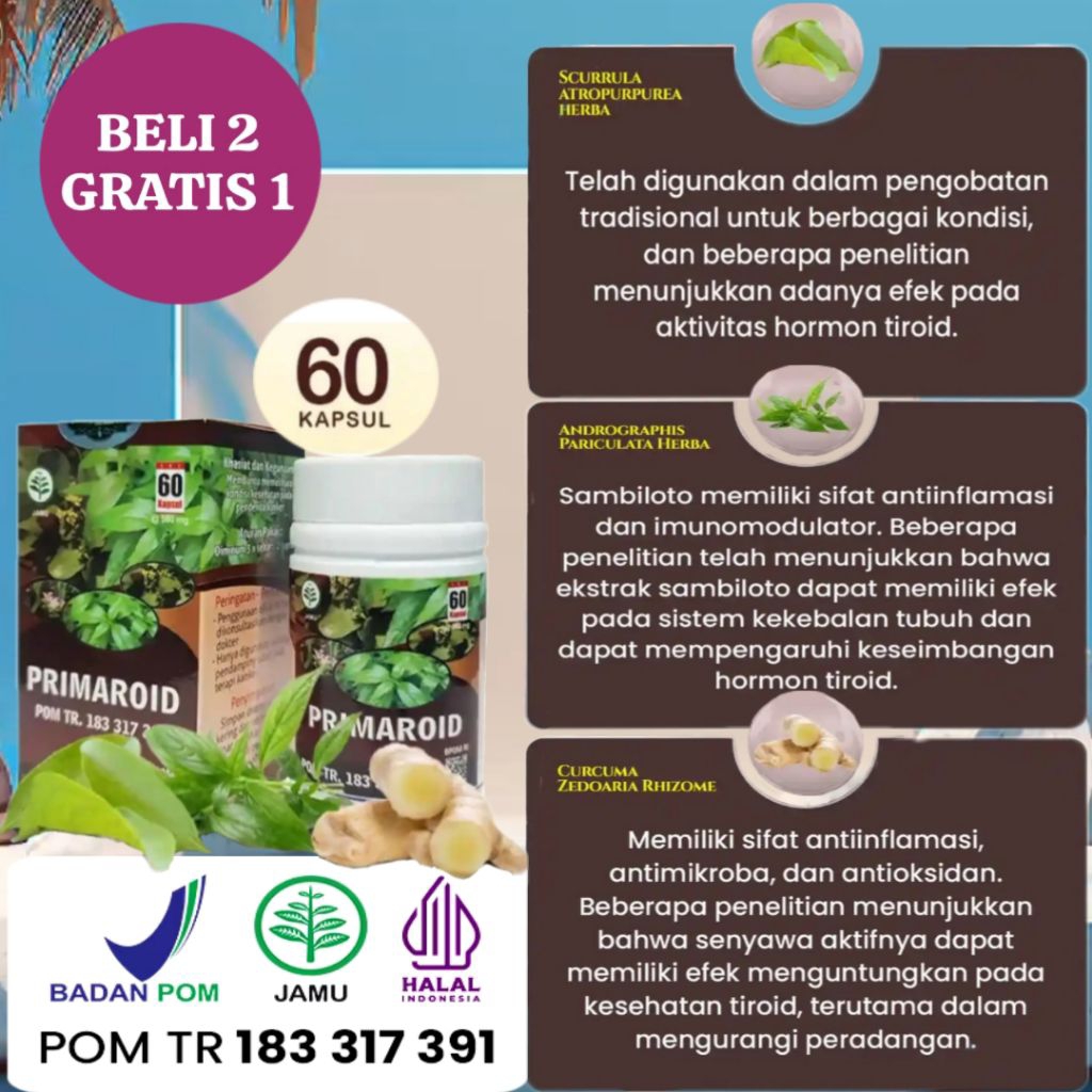 

HERBAL PRIMAROID ORIGINAL BELI 2 GRATIS 1