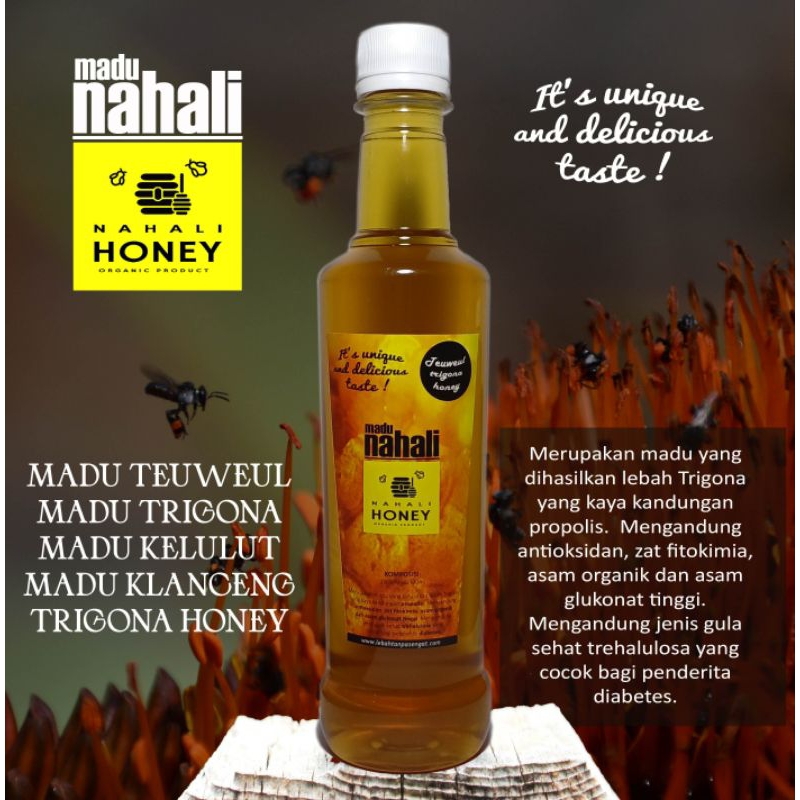 

Madu Trigona 500 g