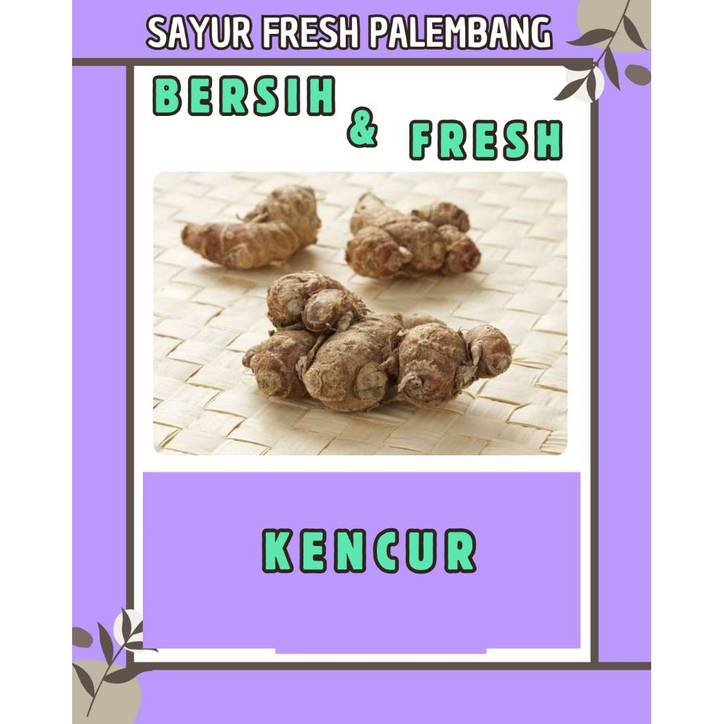 

KENCUR FRESH & BERSIH PALEMBANG
