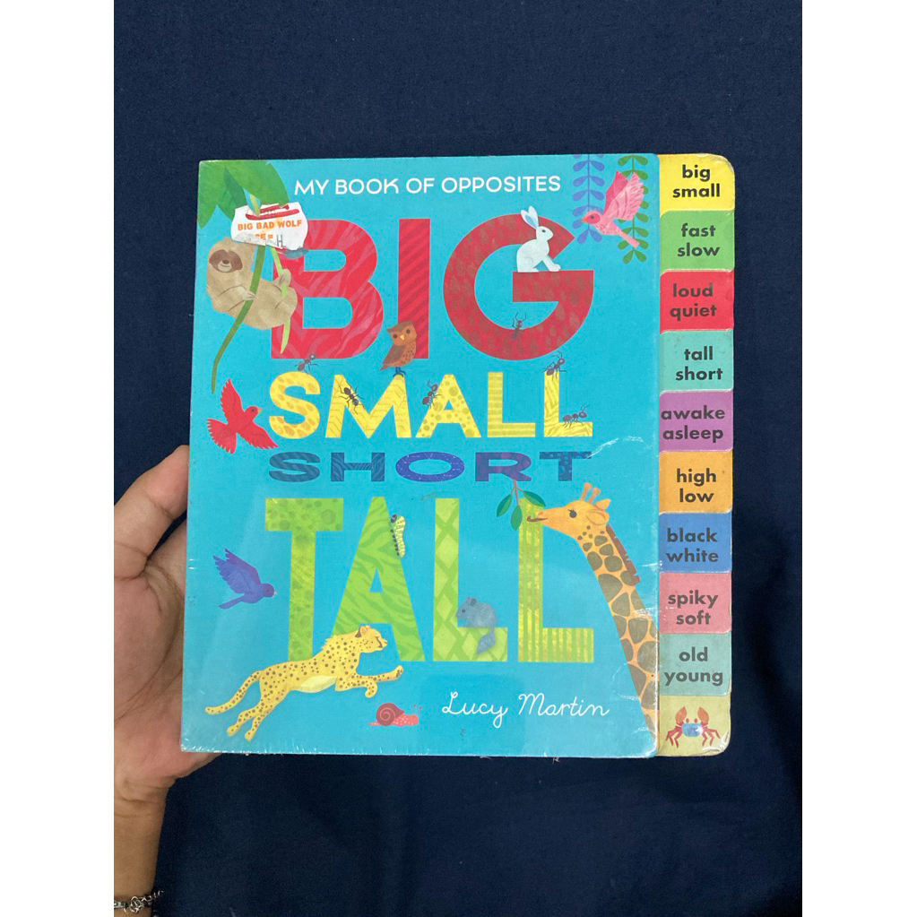 Board Book Anak BBW