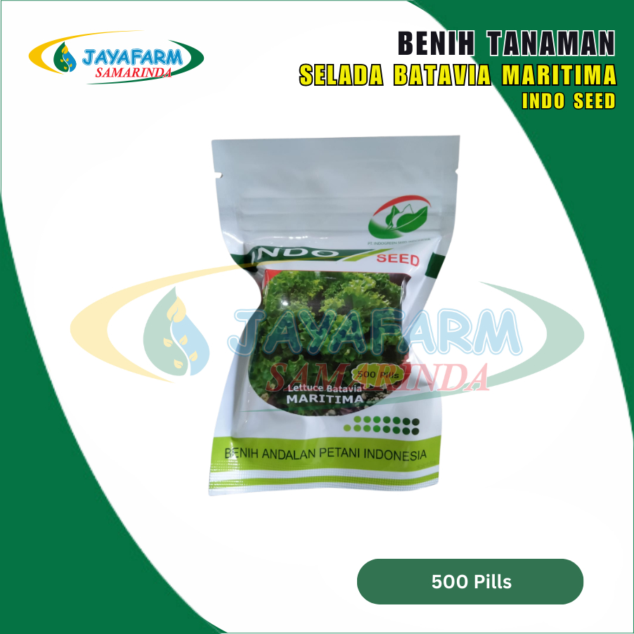 Benih Bibit Tanaman Sayur Selada Batavia Maritima 500 Pills Indo Seed - Enza Zaden