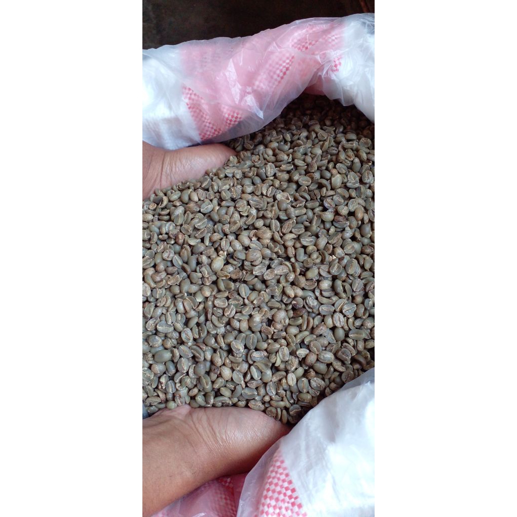 

Grean Bean Arabika fullwash Temanggung