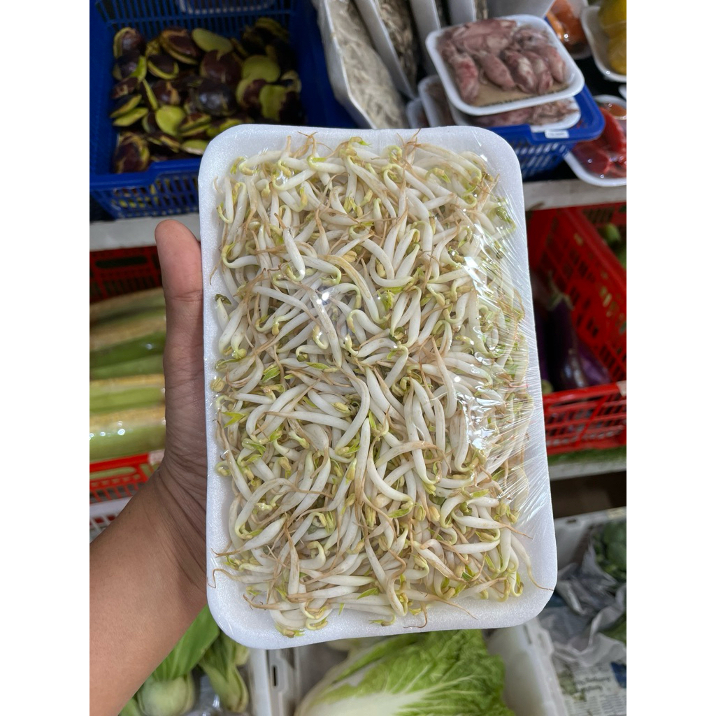 

Toge | Sayuran | Fresh Buah Amanah