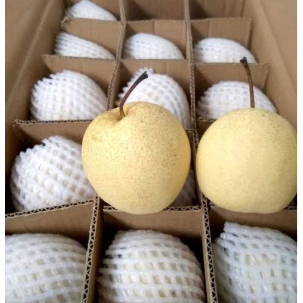 

buah pir manis 1kg