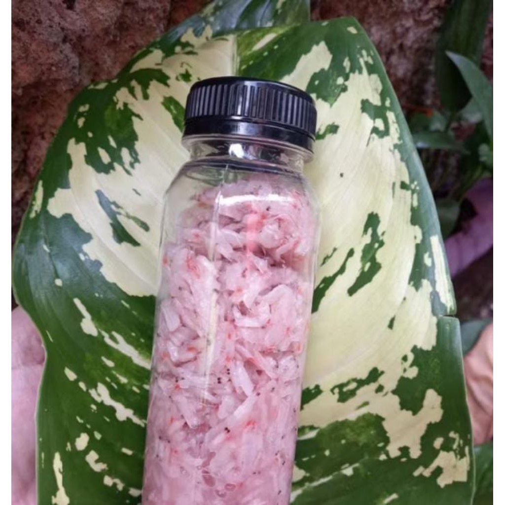 

Hakoi | cencalok malaka | cincalok hakoi | cencalok ami | cincalok melaka | hekoi | udang fermentasi | Fermented Shrimp | udang halus di asinkan | cincalok udang/500g