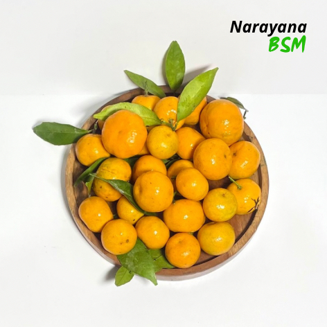 Buah Jeruk Santang Daun Santang Madu Segar