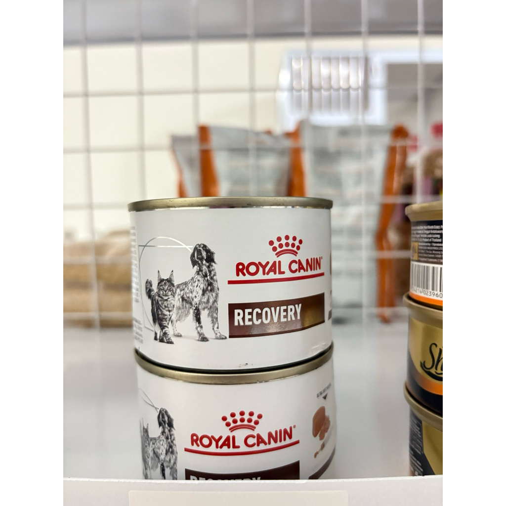 Royal Canin Recovery