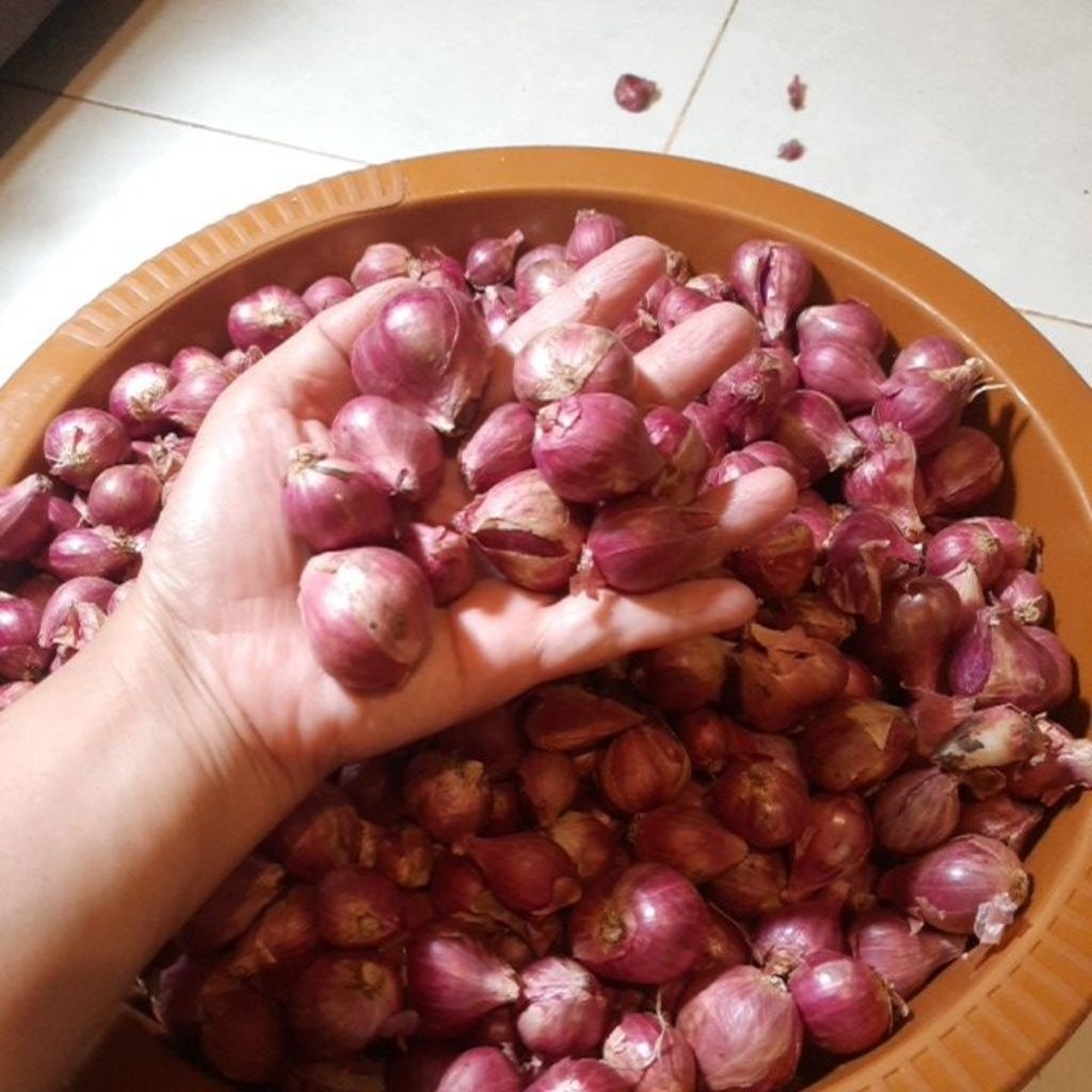 

bawang merah kering tanggung besar 1 kg