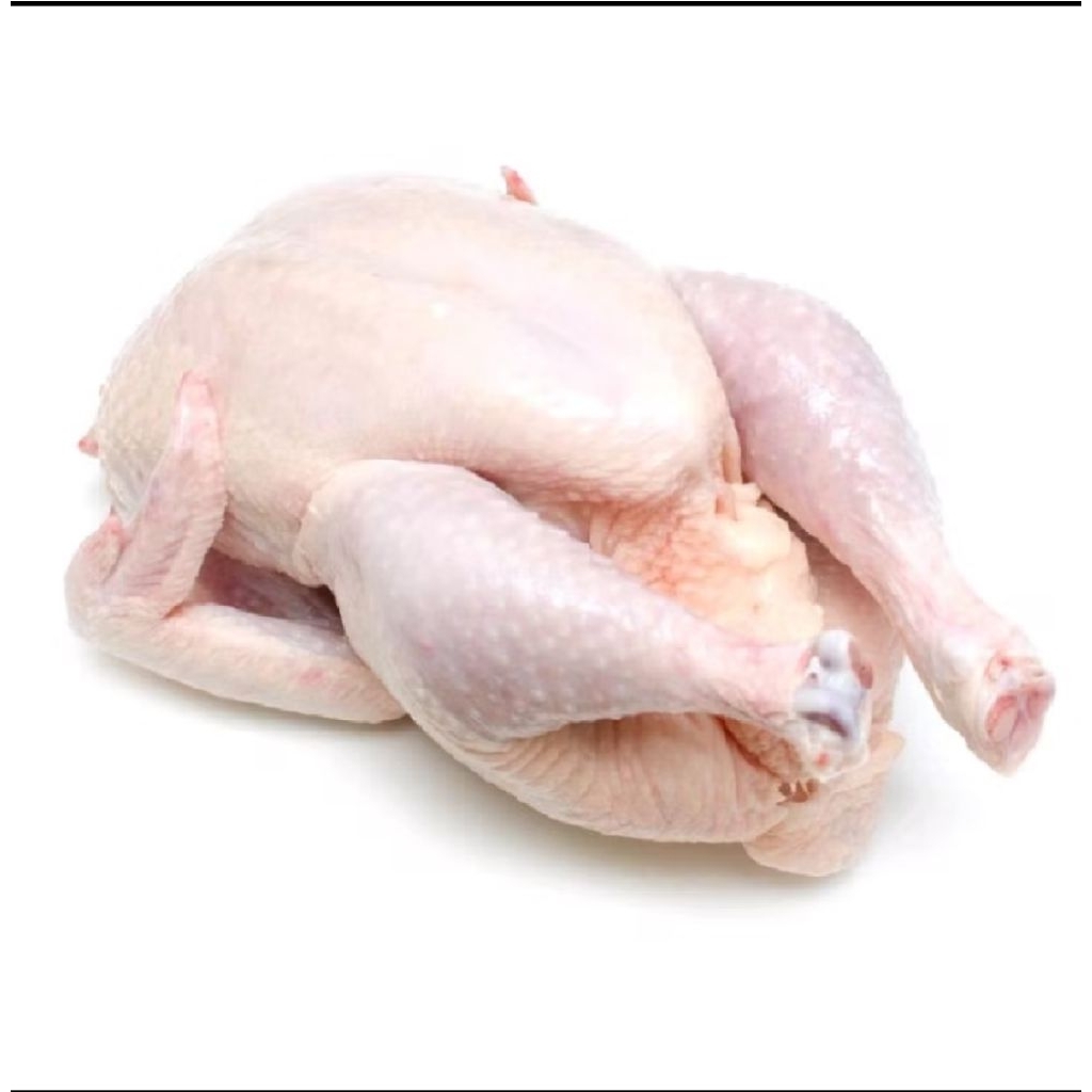 

Ayam broiler berat 1,1kg frozen segar halal