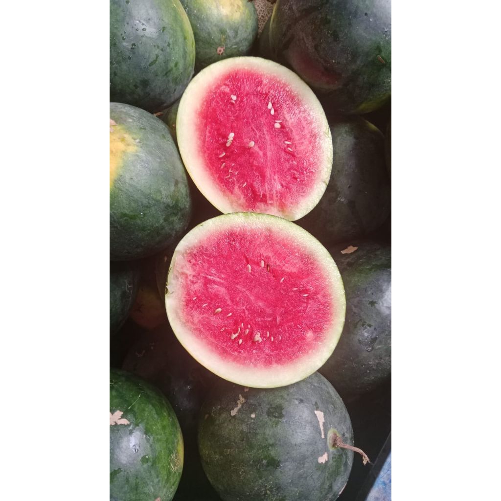 

Semangka Merah Berat 1kg Up