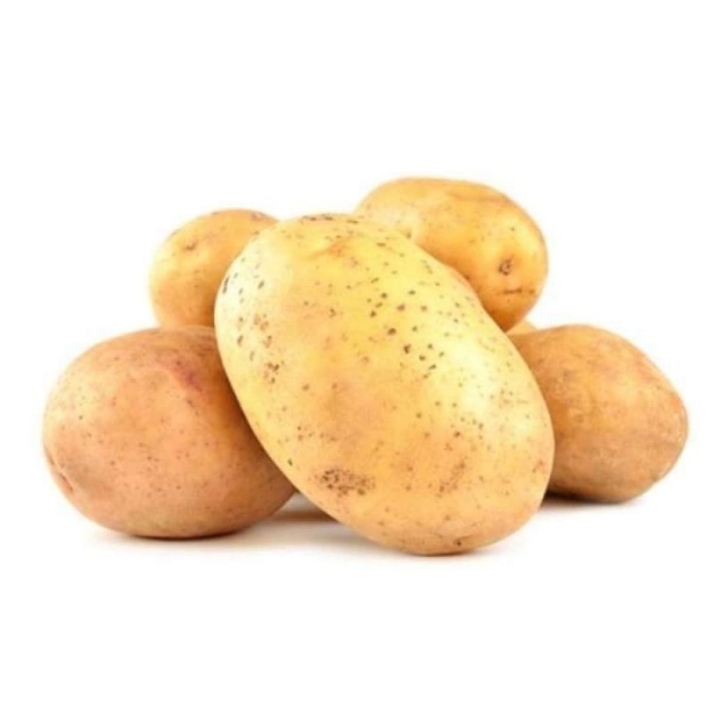 

KENTANG KUNING BESAR RP 18000 /1KG