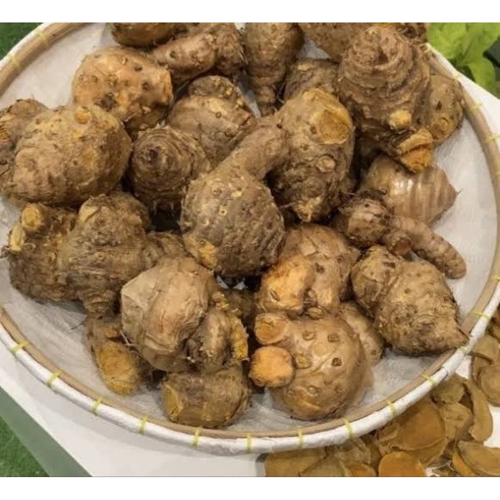 

1 KG Temulawak / Temu Lawak Segar – Rimpang Herbal untuk Jamu, Stamina, dan Kesehatan Hati