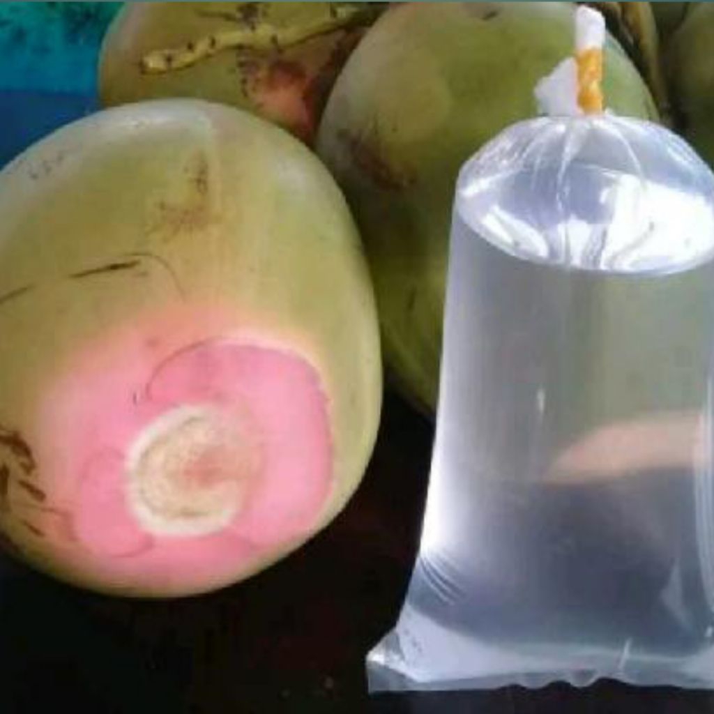 

Kelapa muda buat obat 1 butir