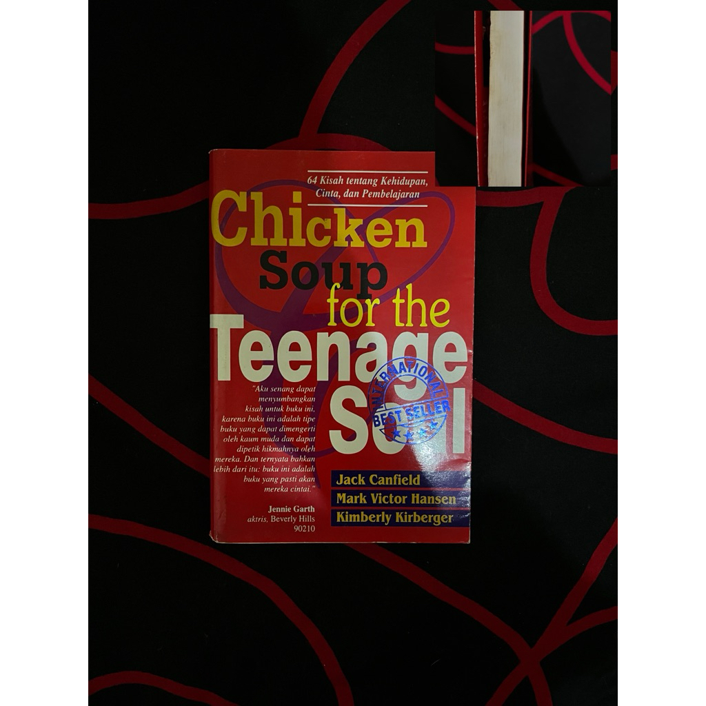 Preloved chicken soup for the teenage soul