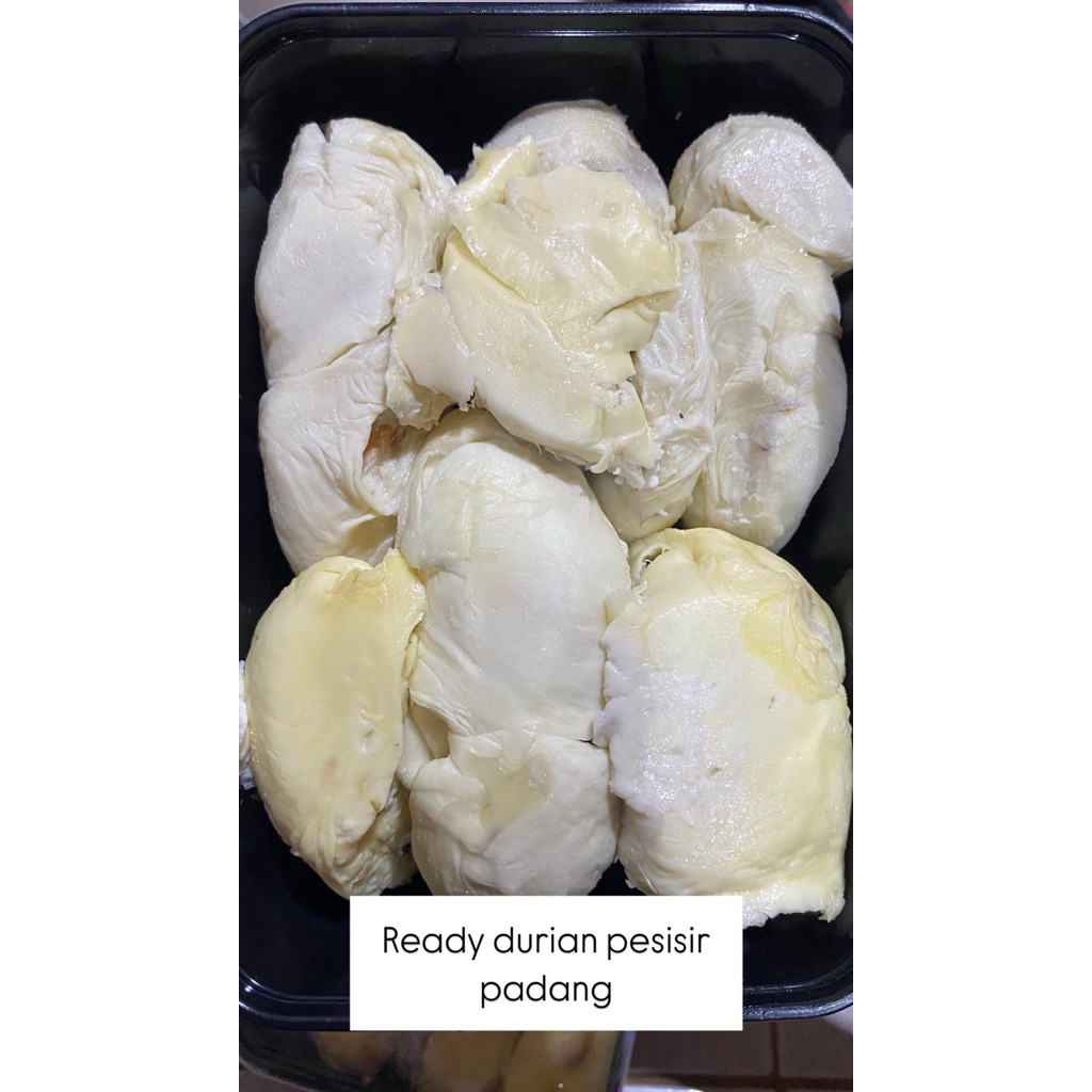 

durian medan